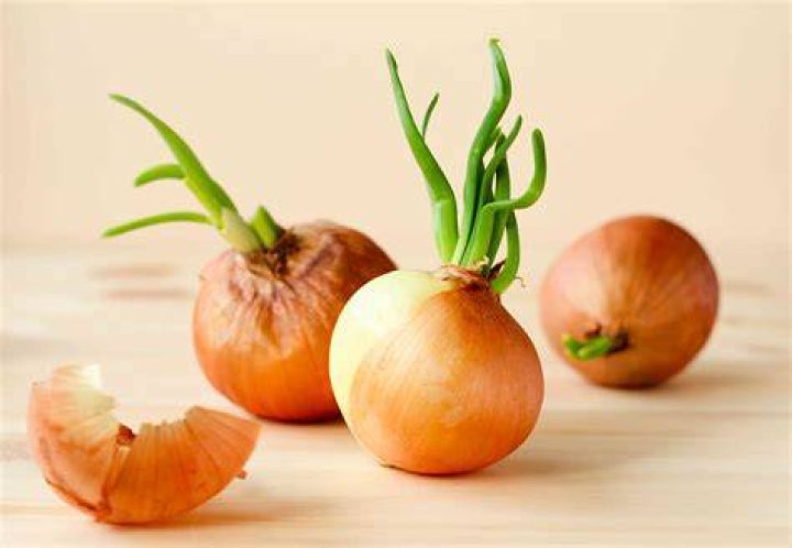 Are cooked onions safe to eat the next day?