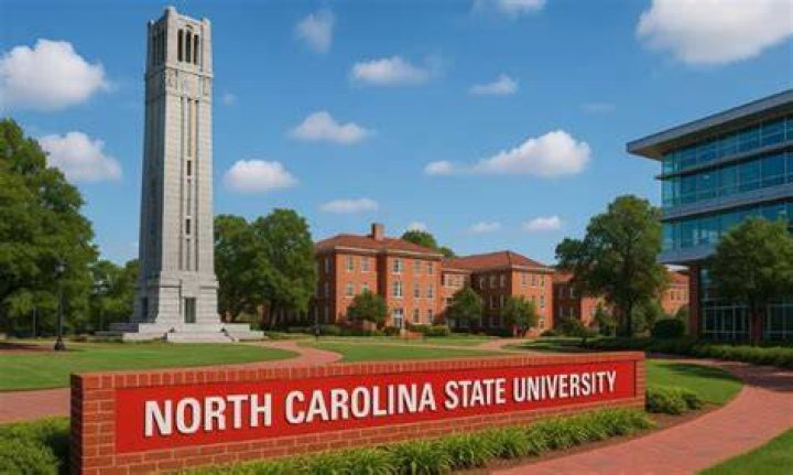 Does NC State have online courses?