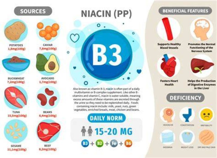 Does nicotinamide raise blood sugar?