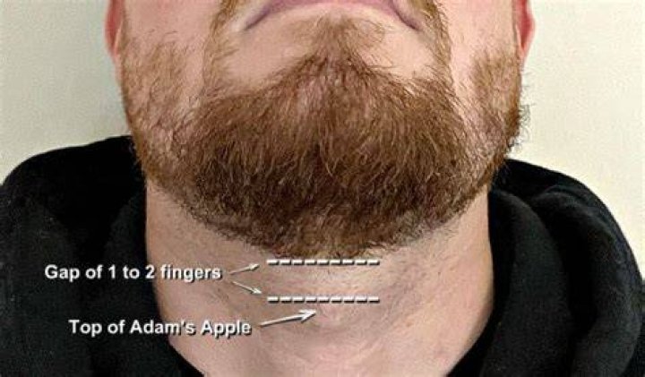 How do you taper your beard neckline?