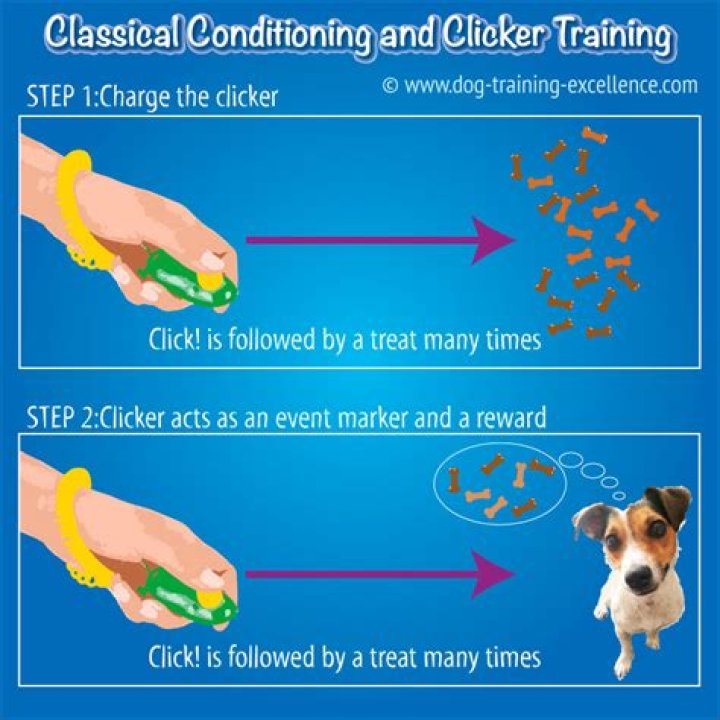 Is a clicker good for dog training?