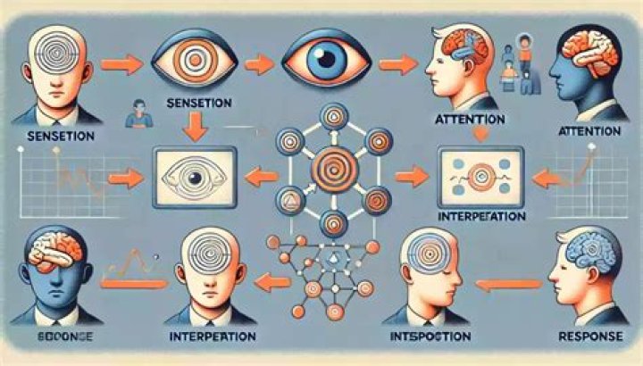 Is perception always accurate? | ContextResponse.com