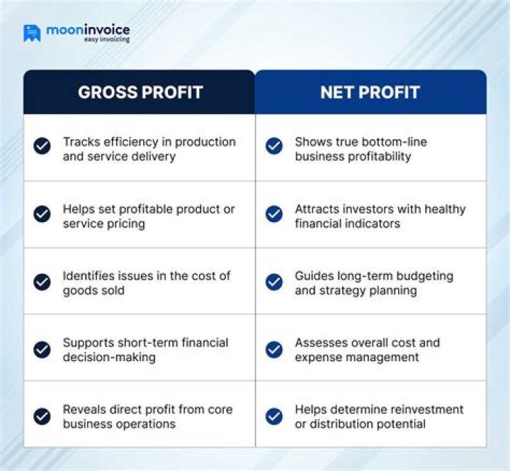 Is profit for the year the same as net profit?