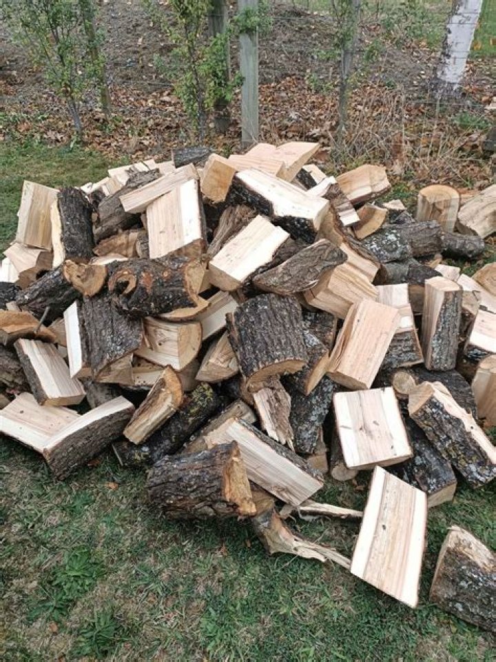 Is Willow good for firewood?
