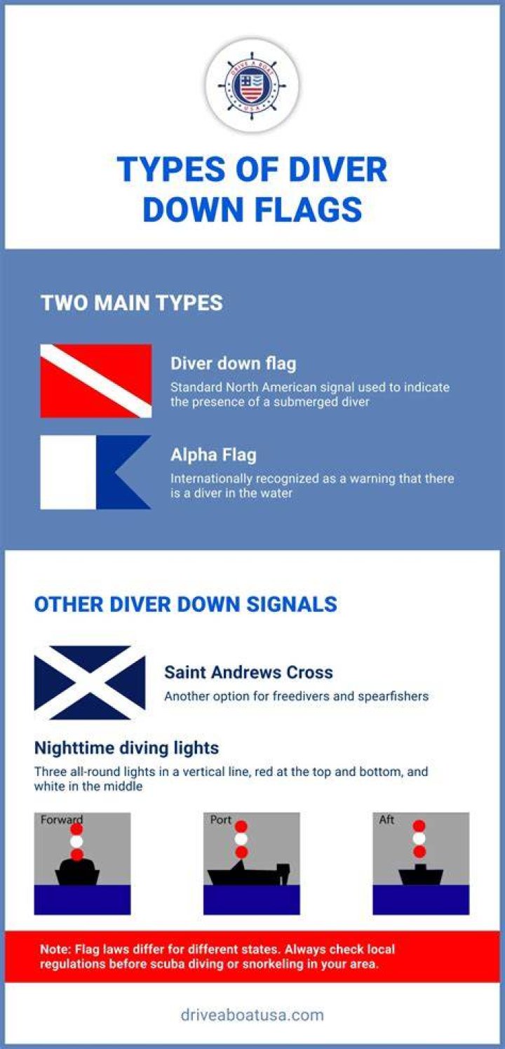 What accurately describes the two types of diver down flags?