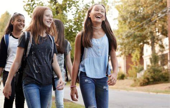 What are adolescent girls?