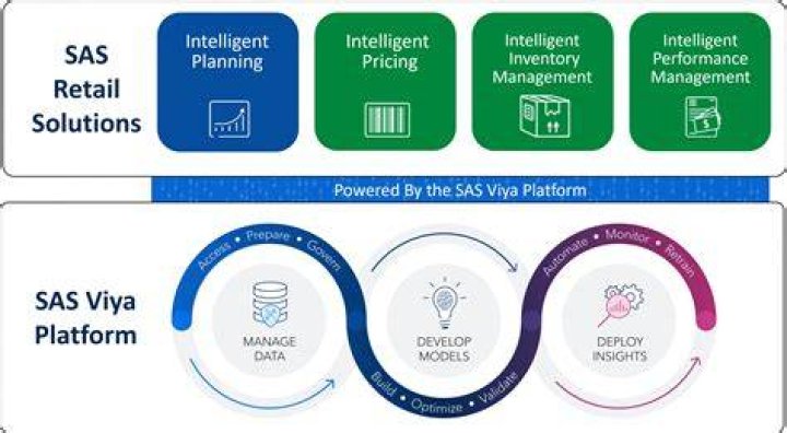 What are SAS products?