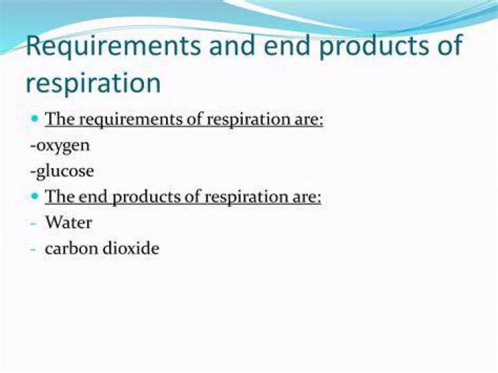 What are the requirements and products of respiration?