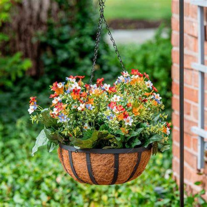What can I hang instead of hanging baskets?
