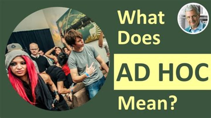 What does it mean to be an ad hoc member?