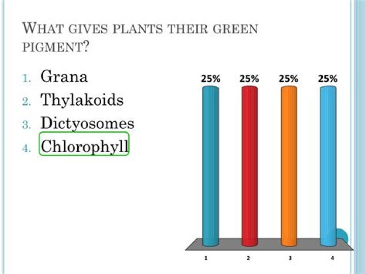 What gives green plants their green color?