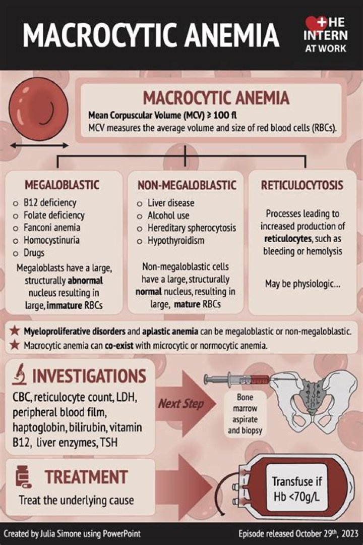 What is Macrocytic Normochromic anemia?