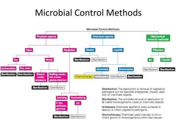What is the difference between physical and chemical methods of microbial control?