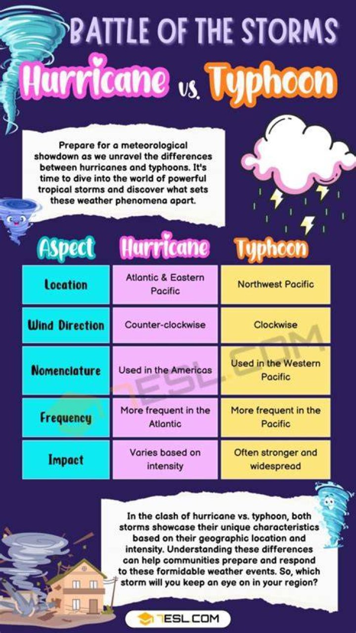 What is the difference between typhoon and thunderstorm?