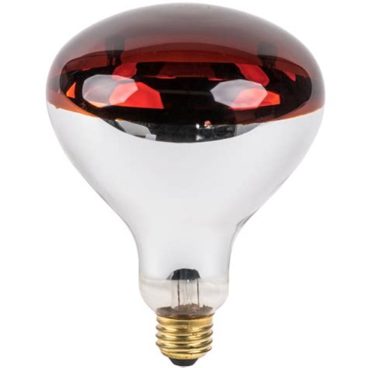 What is the heat from a light bulb?