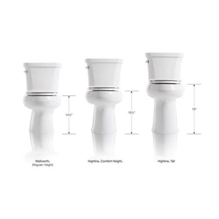 What is the highest gpf toilet?