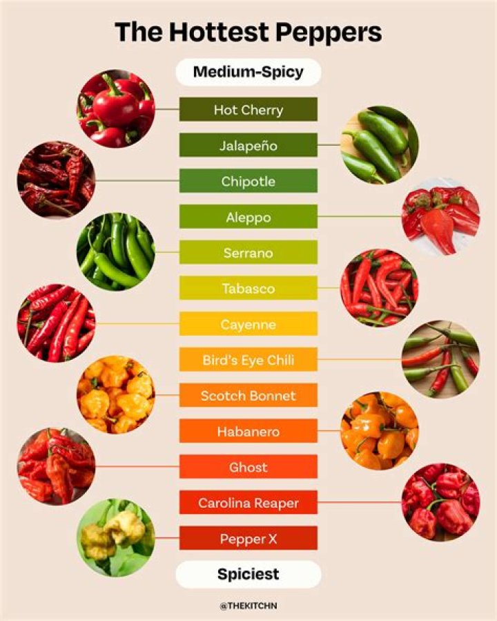 Which is the spiciest chilli in the world?