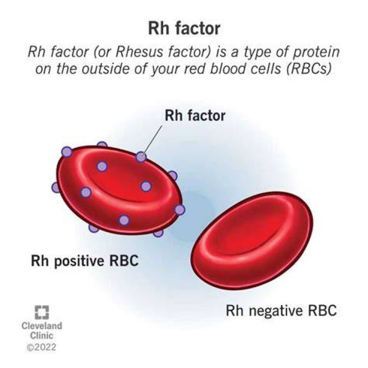 Why is Rh factor test done?